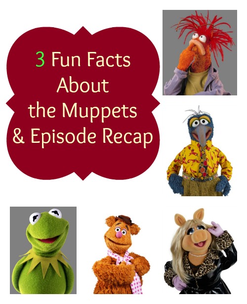 3 Fun Facts about the Muppets