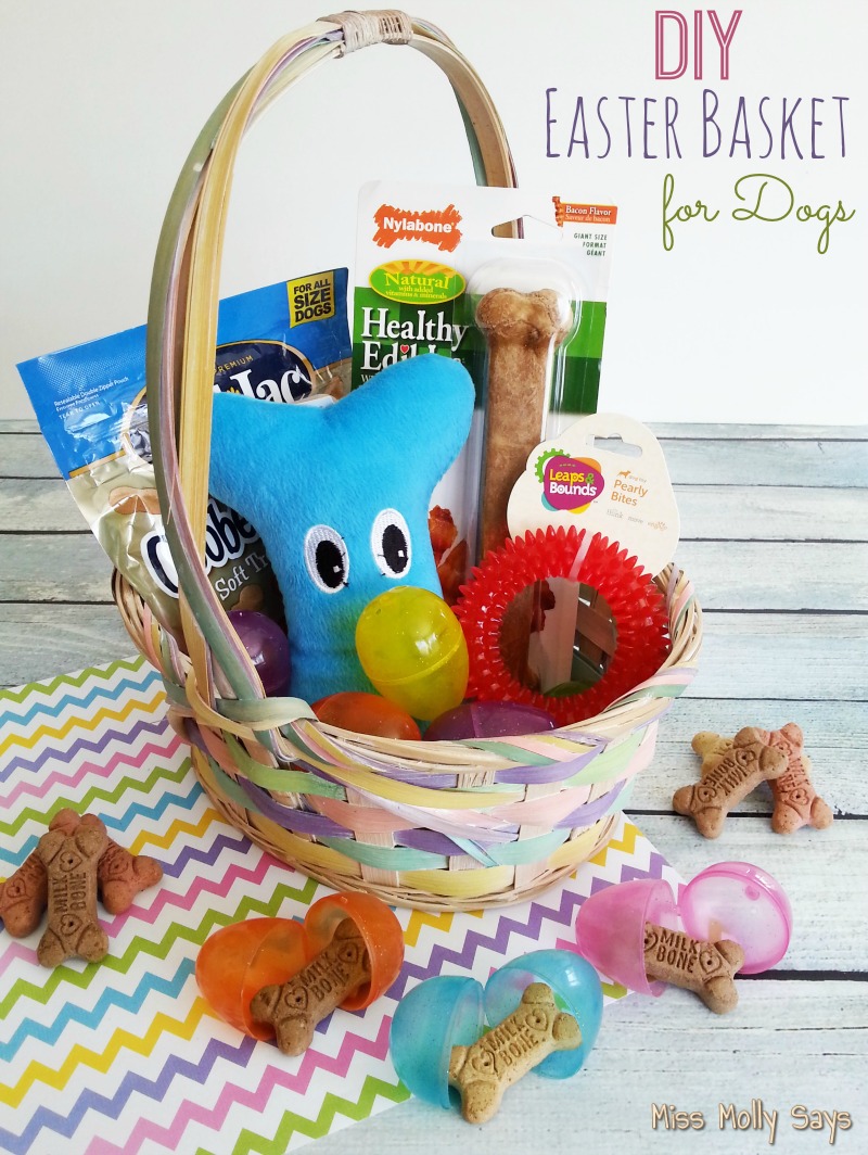  DIY Easter Basket for Dogs