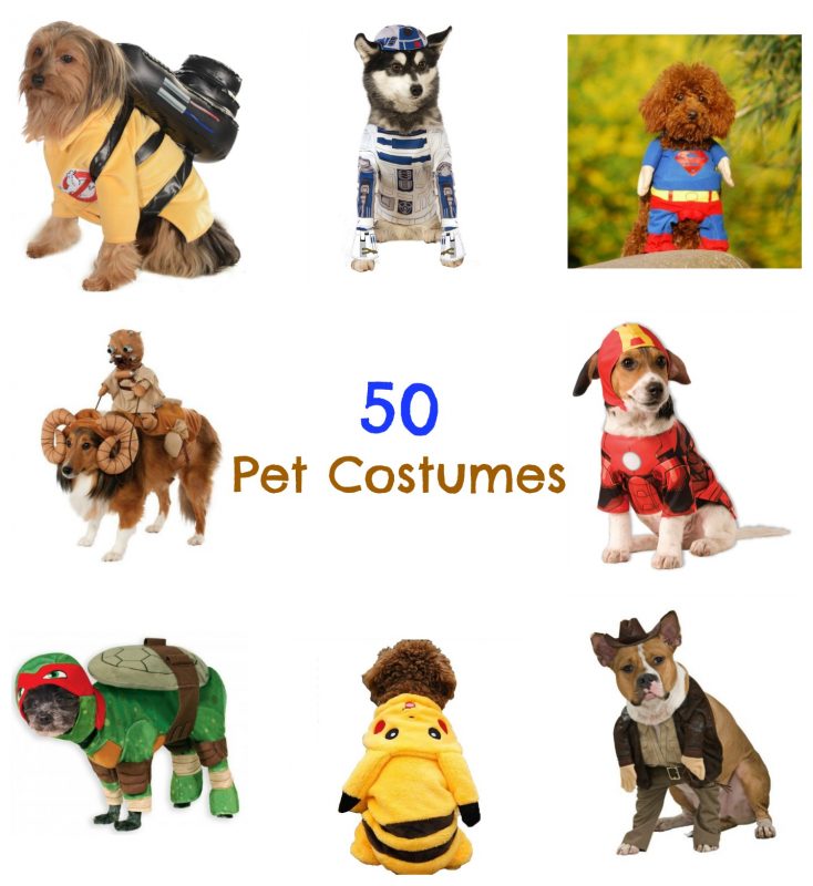 50-pet-costumes-cover