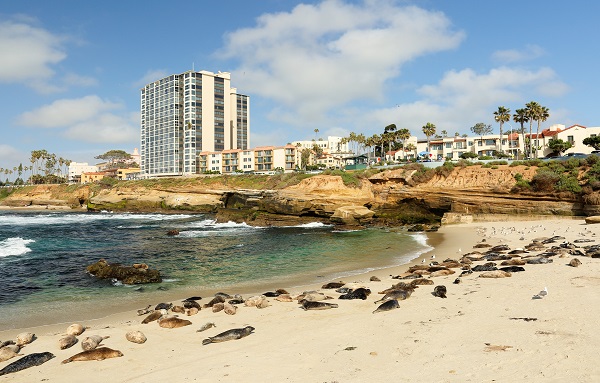 3 Tips on Getting The Most Out Of A Family Trip To La Jolla, CA